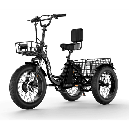 Mooncool 750W Electric Tricycle